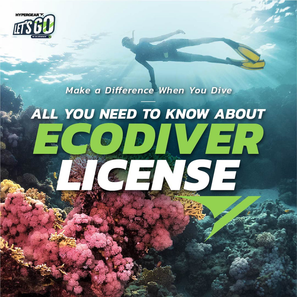 All You Need To Know About EcoDiver License