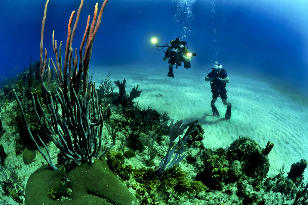 CO3 Divers Project